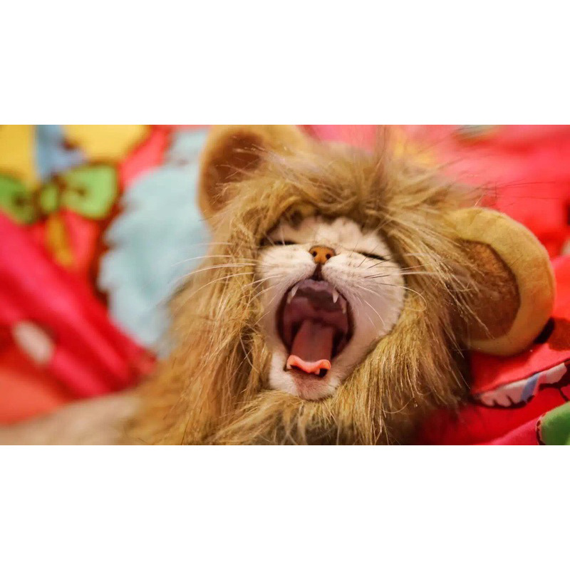 Lion Wig Costume Cats Accessories