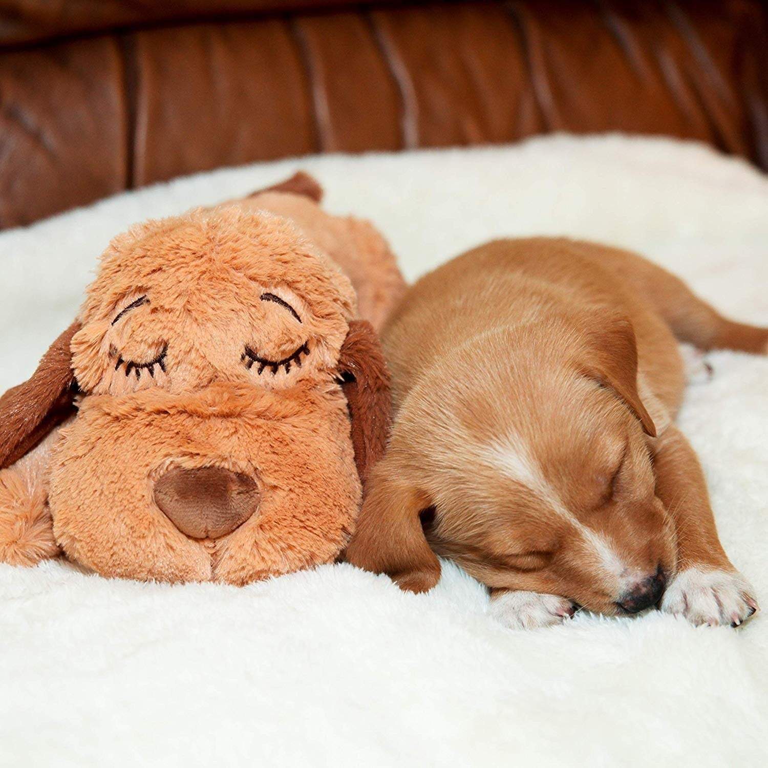 Snuggle Puppy Toy