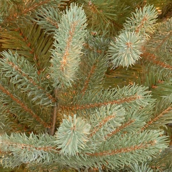 7-1/2 ft. Feel Real Norway Spruce Hinged Artificial Christmas Tree