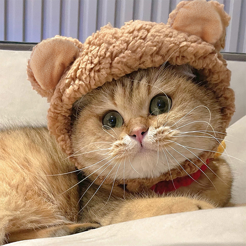 New Pet Cat Cap Dog Headgear