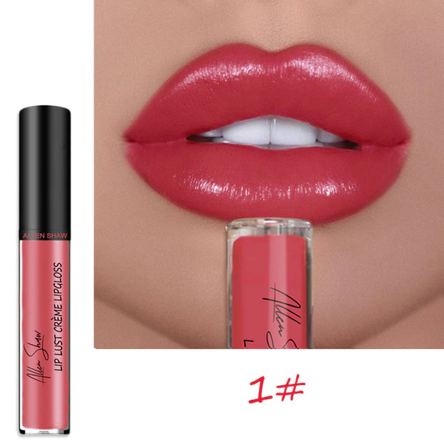 2023 NEW 12 Color Waterproof Long Lasting Moist Lip Gloss Plumper Liquid Lipstick