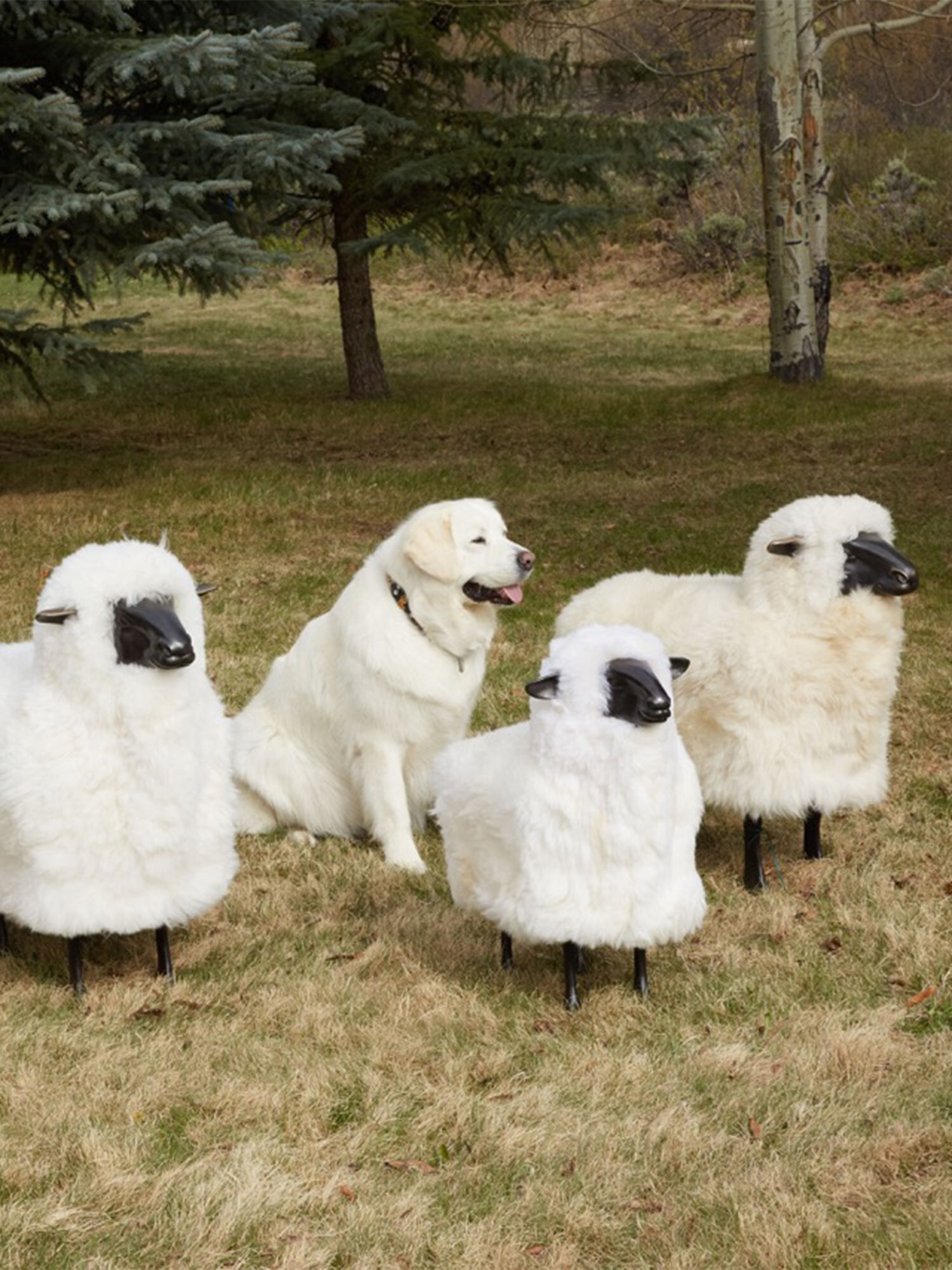 Life-Size Small Lamb Sheep