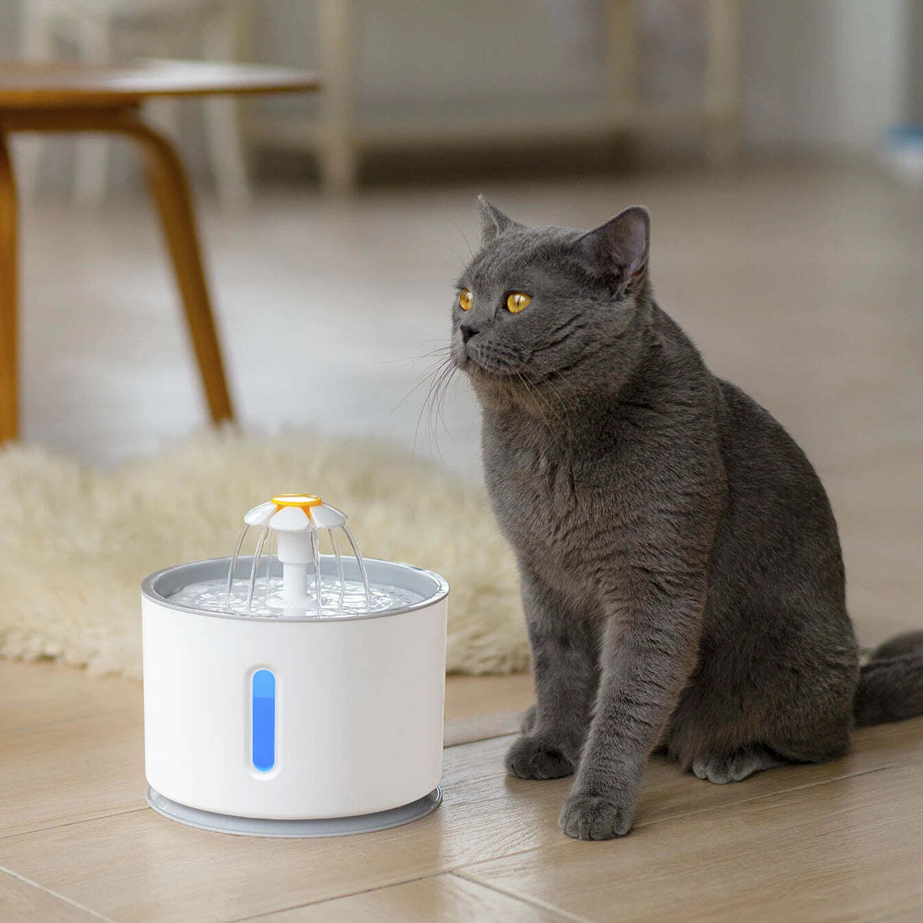 Cat water fountain with filter - PawHydration