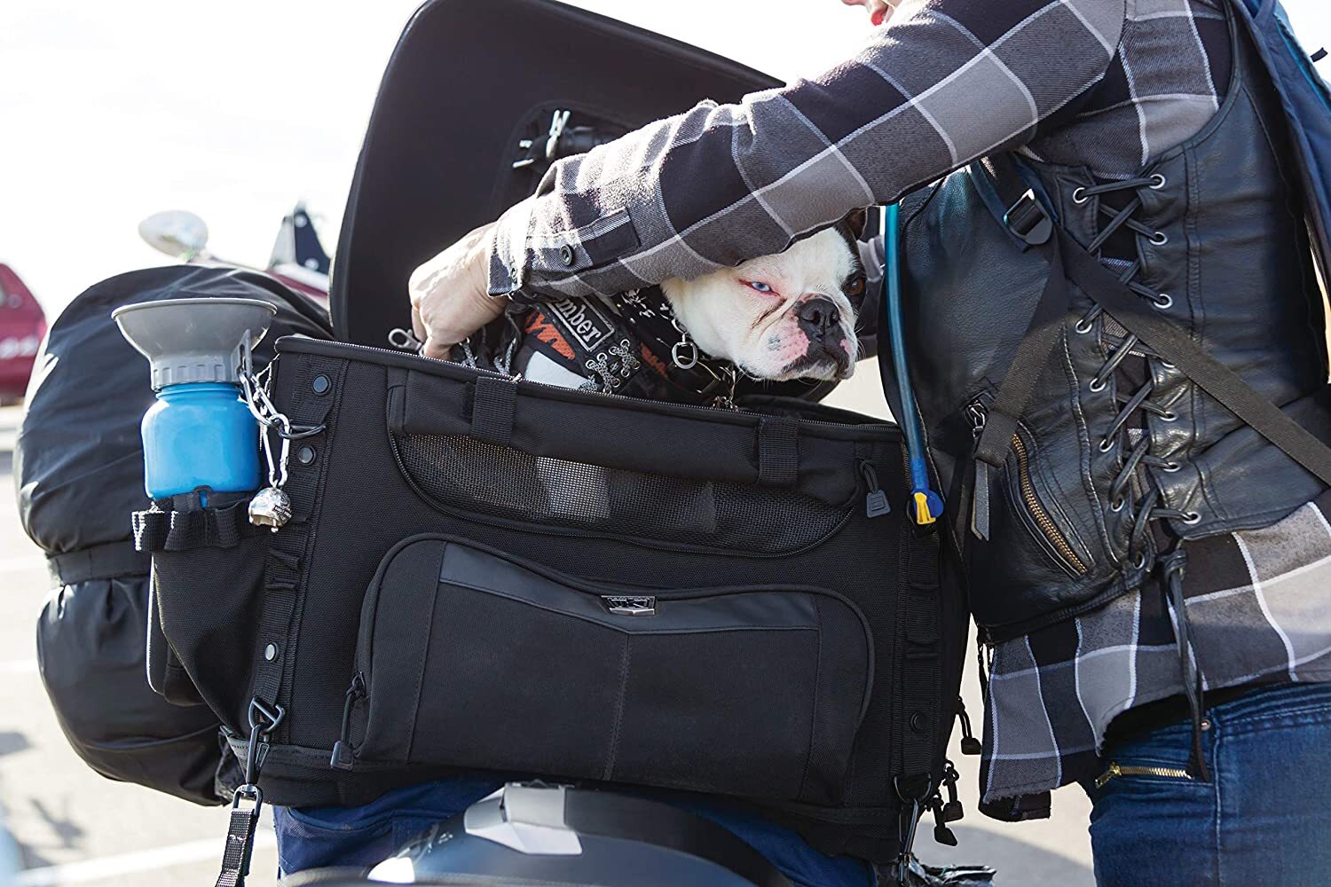 Portable Motorcycle Dog Carrier