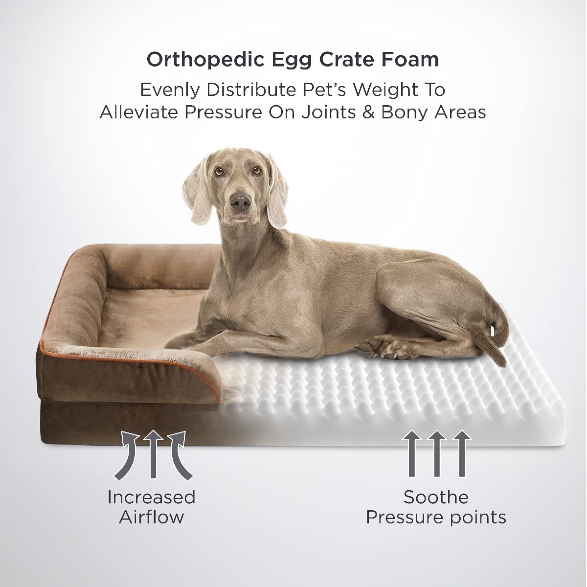 Orthopedic dog bed limited time sale