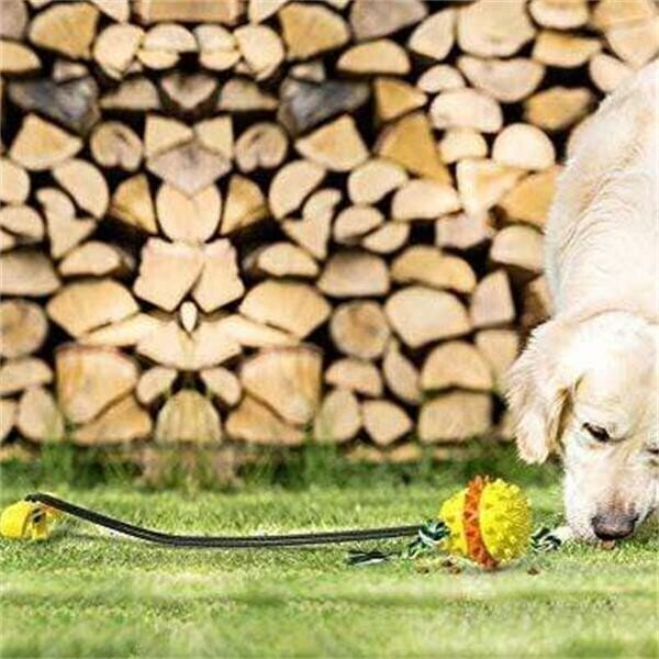 Pet rope ball outdoor training toy, chewing product