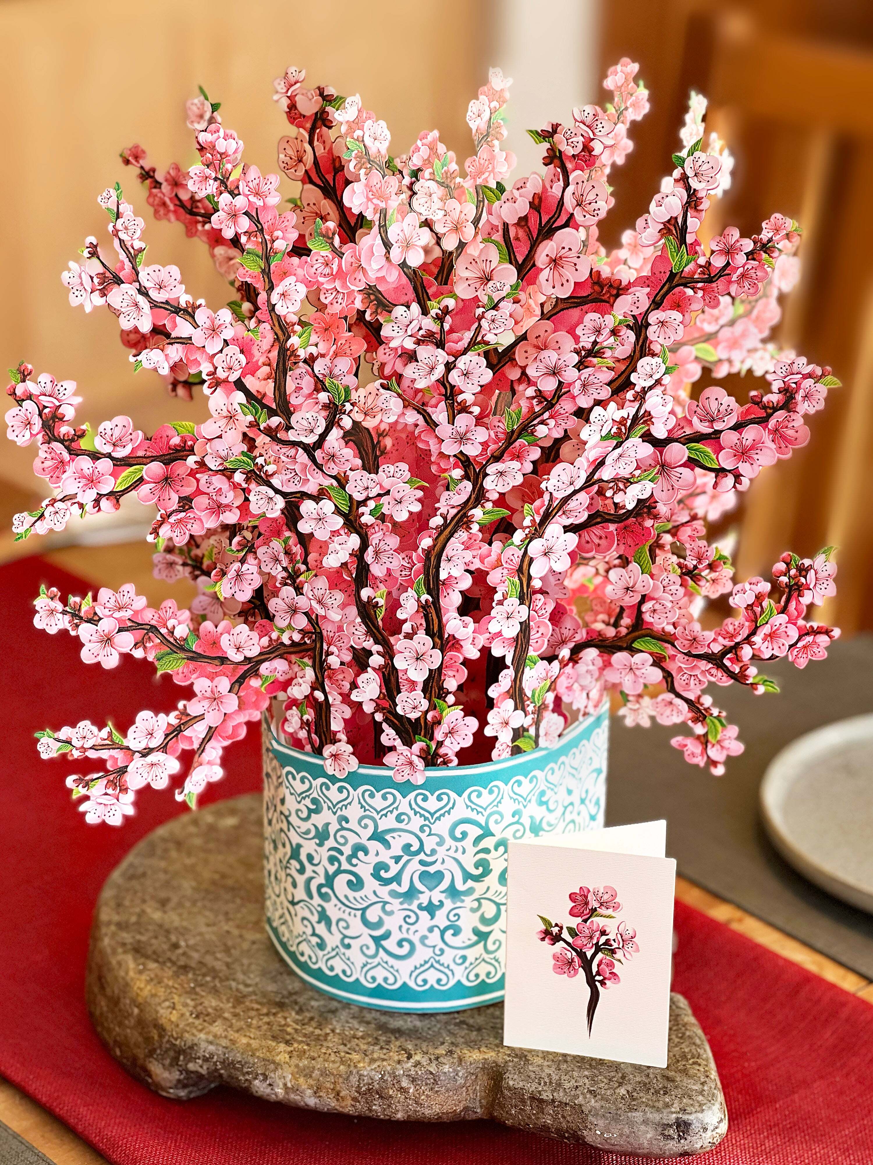 Grande Cherry Blossoms (NEW)