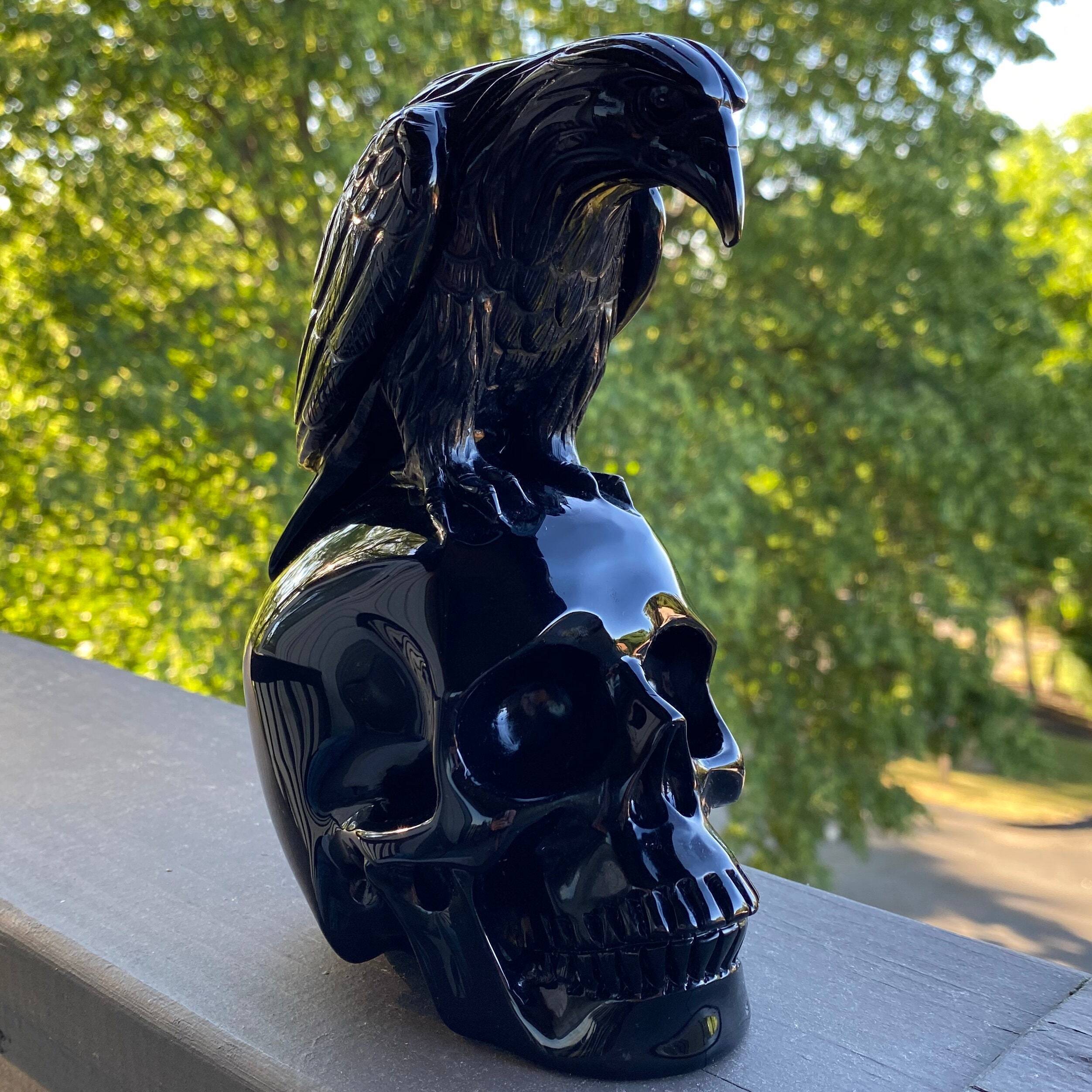 Black Obsidian Crystal Skull and Raven?