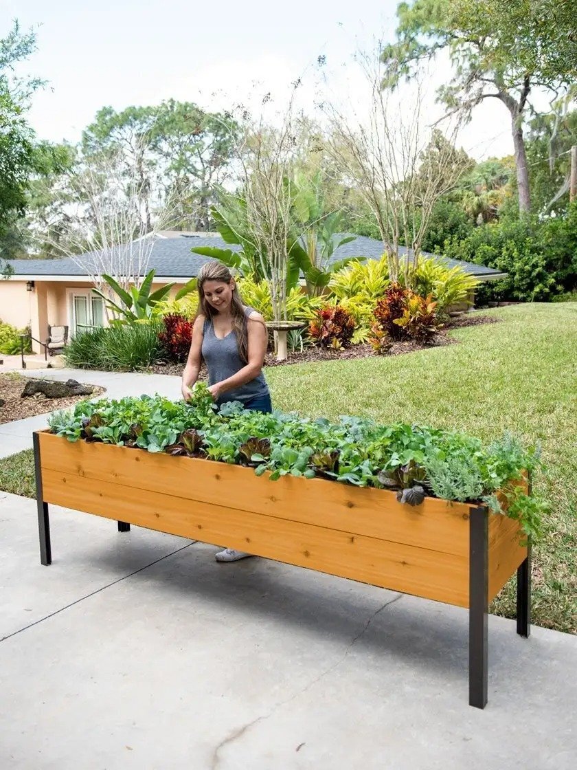 Self-Watering Eco-Stained Elevated Planter Box