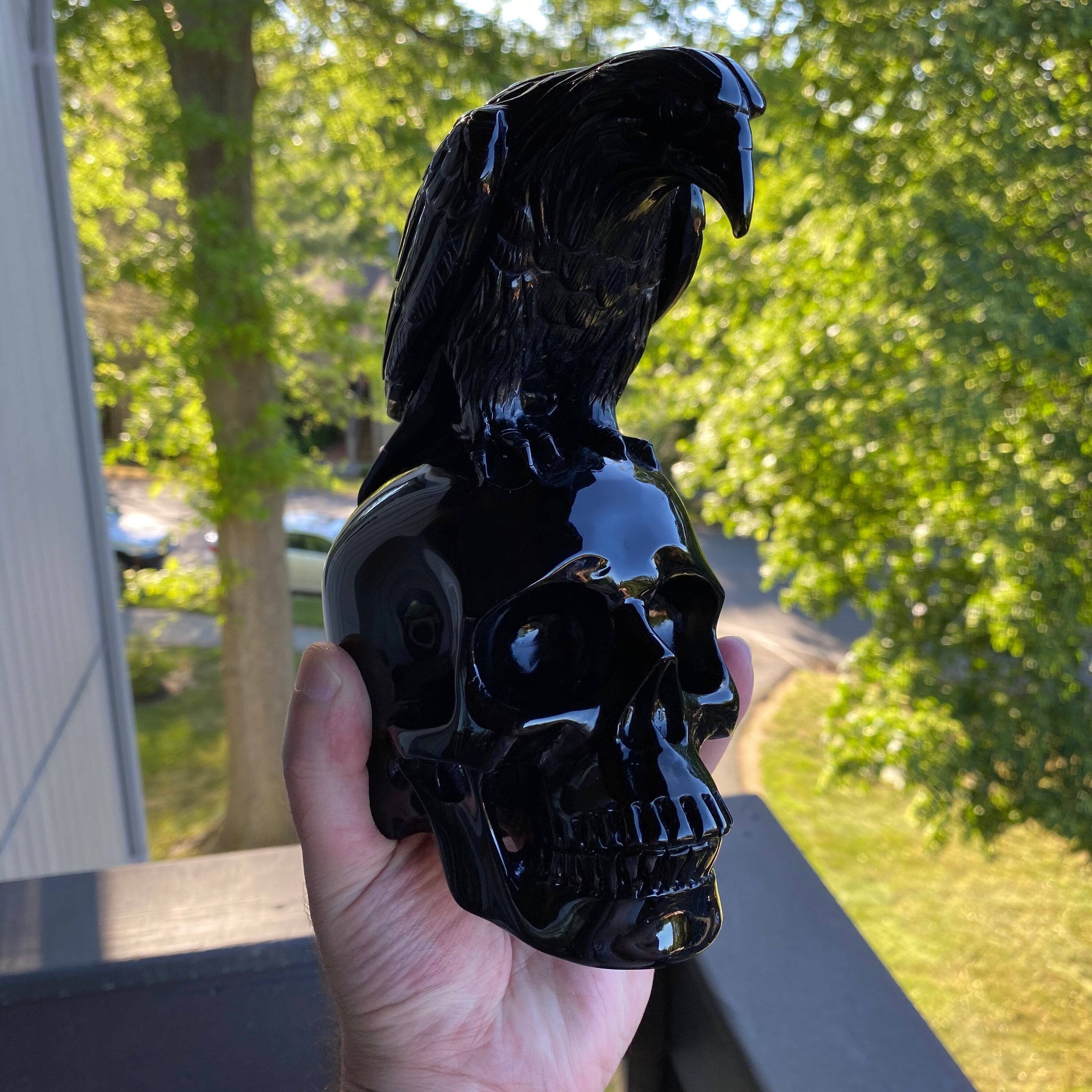 Black Obsidian Crystal Skull and Raven?