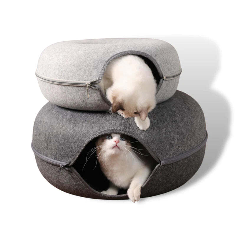 Hide-and-seek tunnel cat bed 2.0