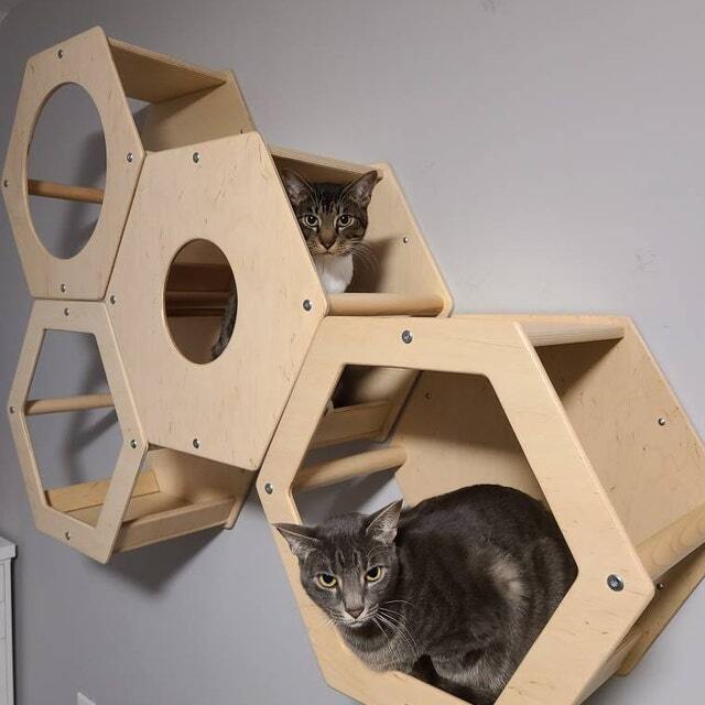 The Best Gift For Your Cats❤️
