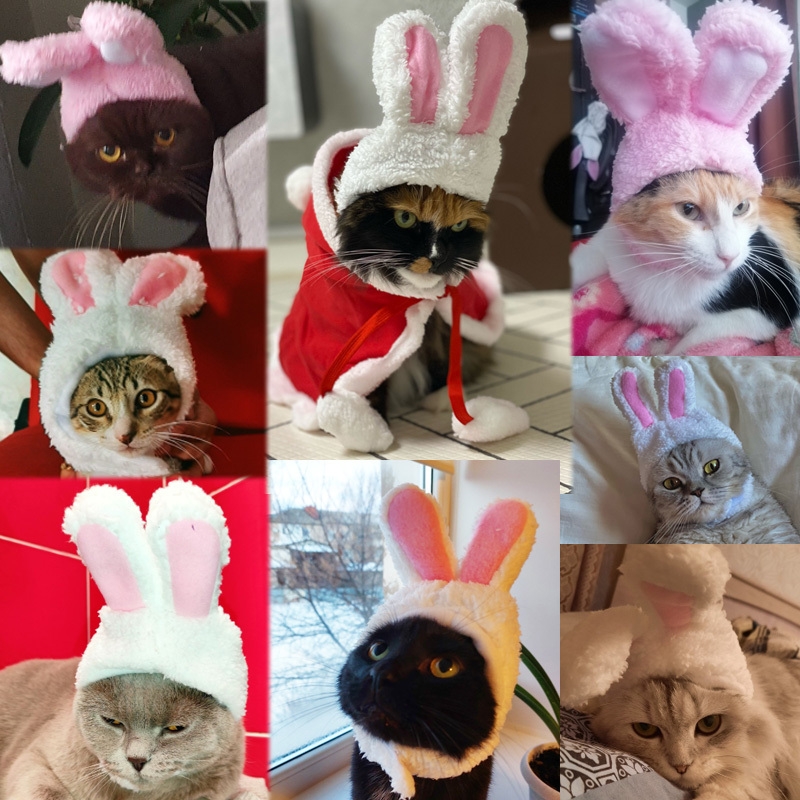 New Funny Pet Dog Cat Cap Costume