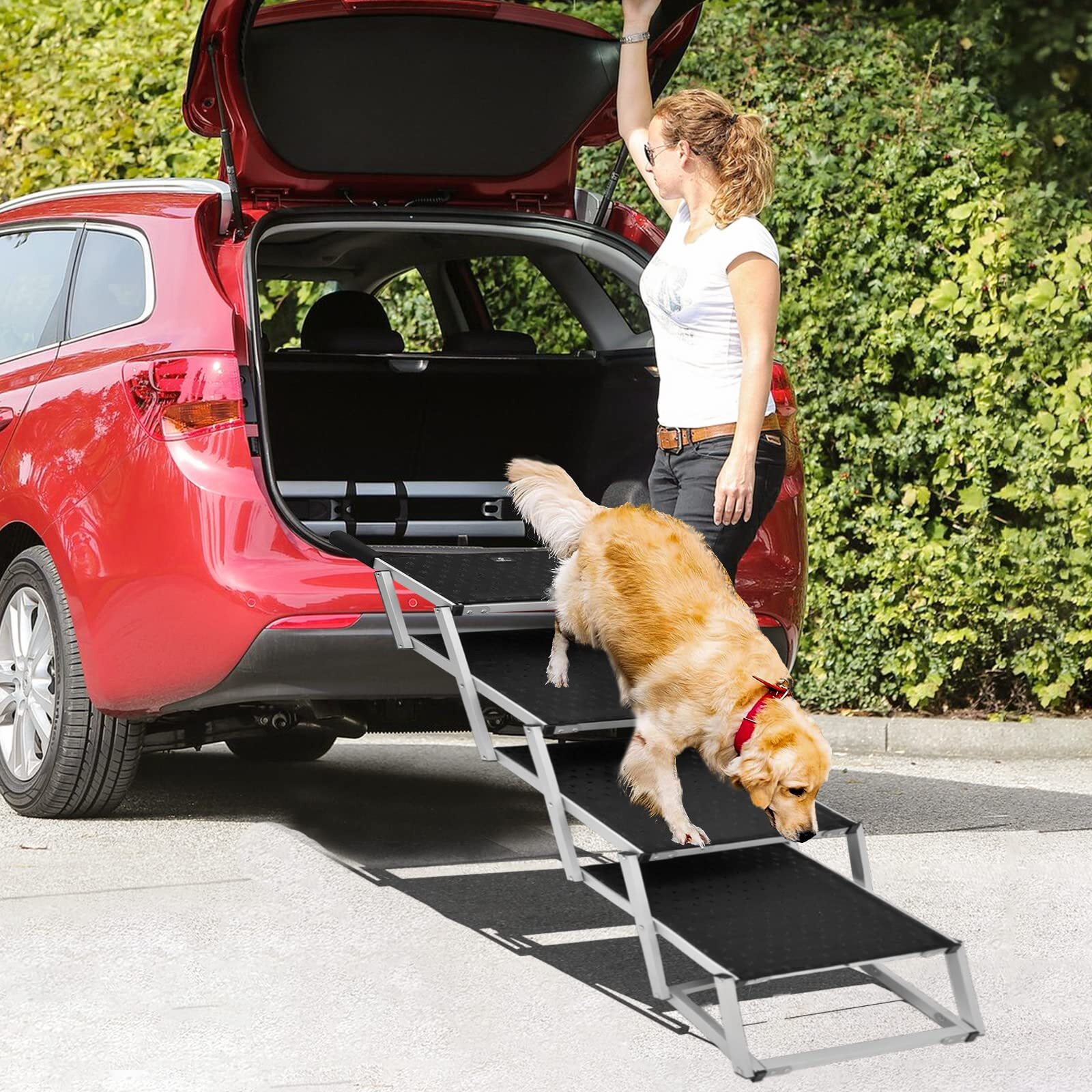 😎MAKE IT EASIER FOR YOUR DOG TO GET IN THE CAR(Buy 2 Free Shipping)⭐⭐⭐⭐⭐