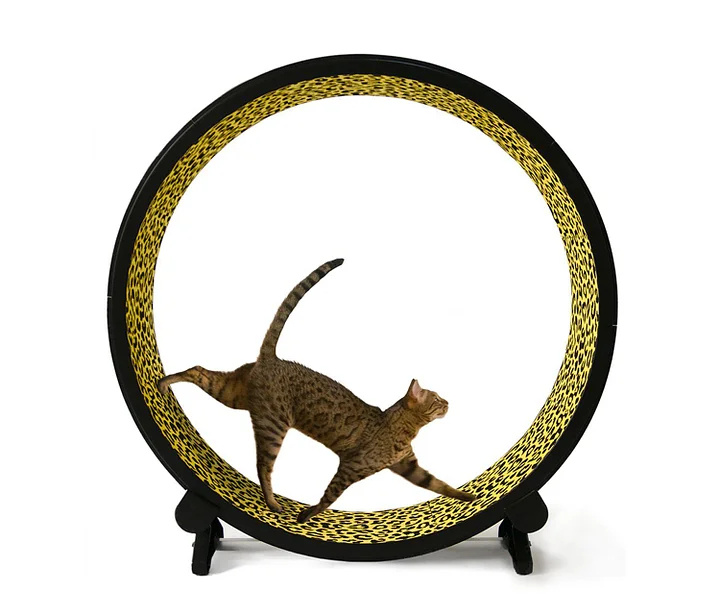 Clearance Sale🔥Cat Exercise Wheel
