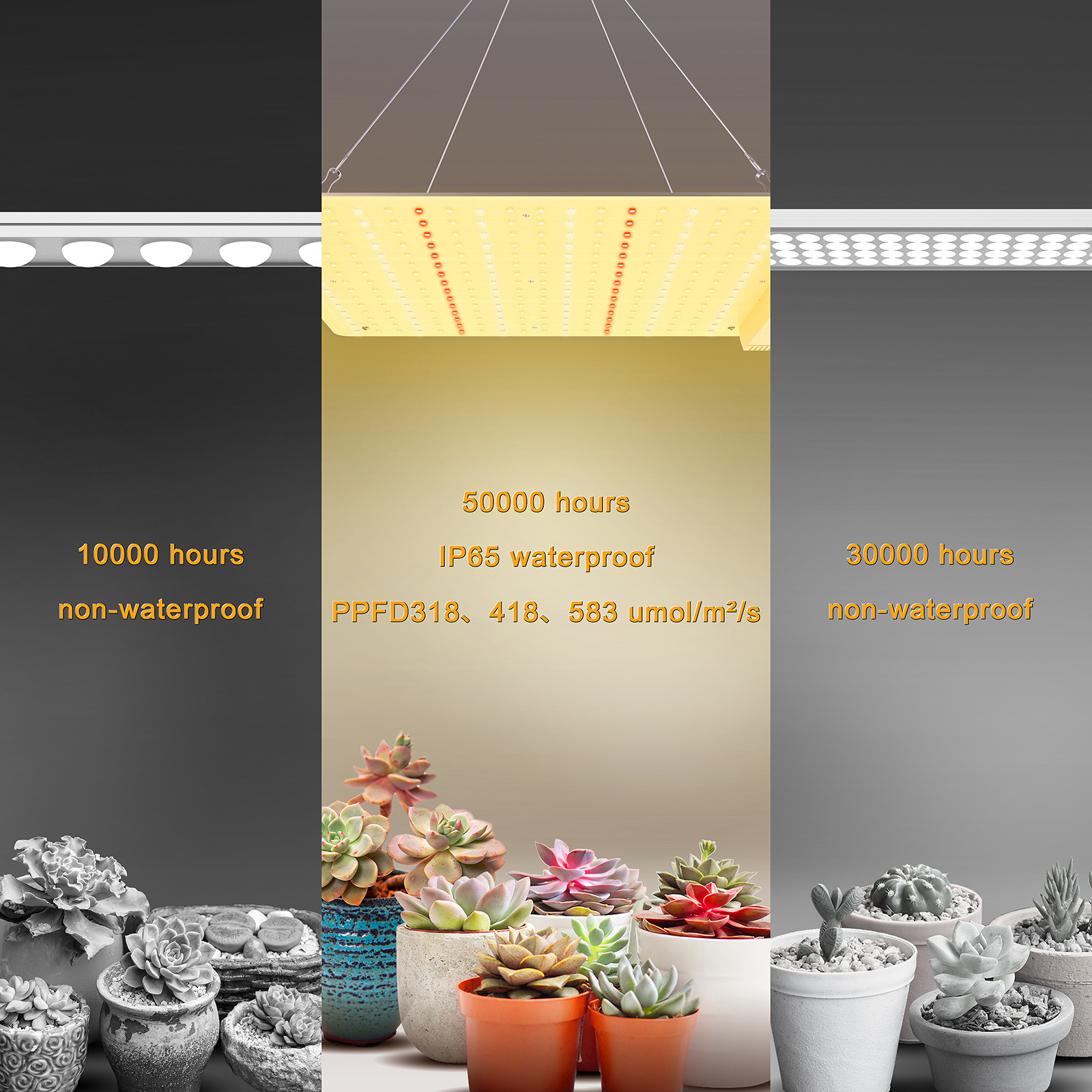 Cheeroll Grow Light 600W LED Grow Light, 2x2Ft Plant Grow Light 270PCS Lamp Bead, Featuring High PPFD High Output Grow Lights, Waterproof Rating up to IP65, for Indoor Plant Growing Vegetables Flowers