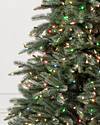 7-1/2 ft. Feel Real Grande Fir Medium Hinged Artificial Christmas Tree with 750 Clear Lights