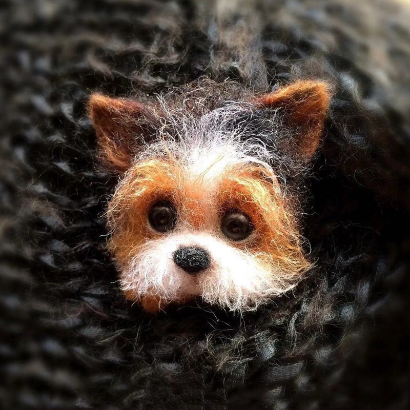 ✨DIY Animal Brooch Fox Dog Cat Wool Needle Felt (Wool Felt Craft Stamp Set Needle Felt Gift Craft Kit)