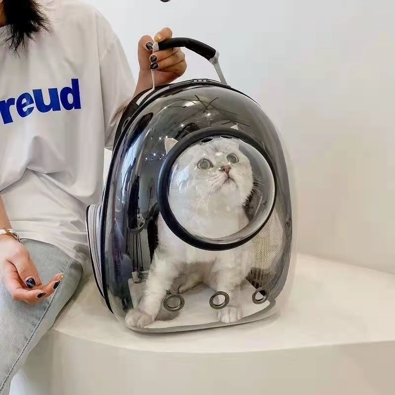 Pet cat bag supplies space capsule