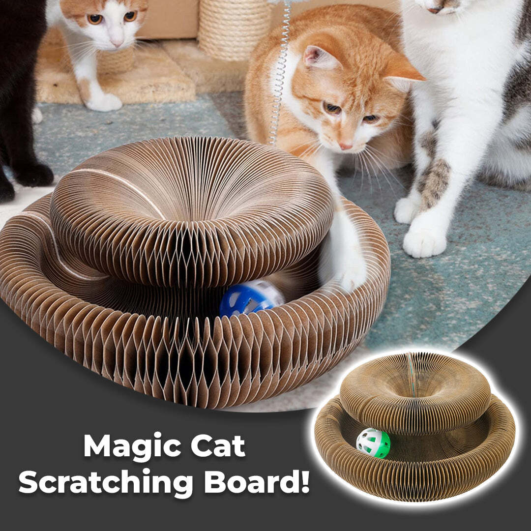 Last day sale 50% off⚡ Magic Cat Scratching Board 🔥(Buy 2 Free Shipping）