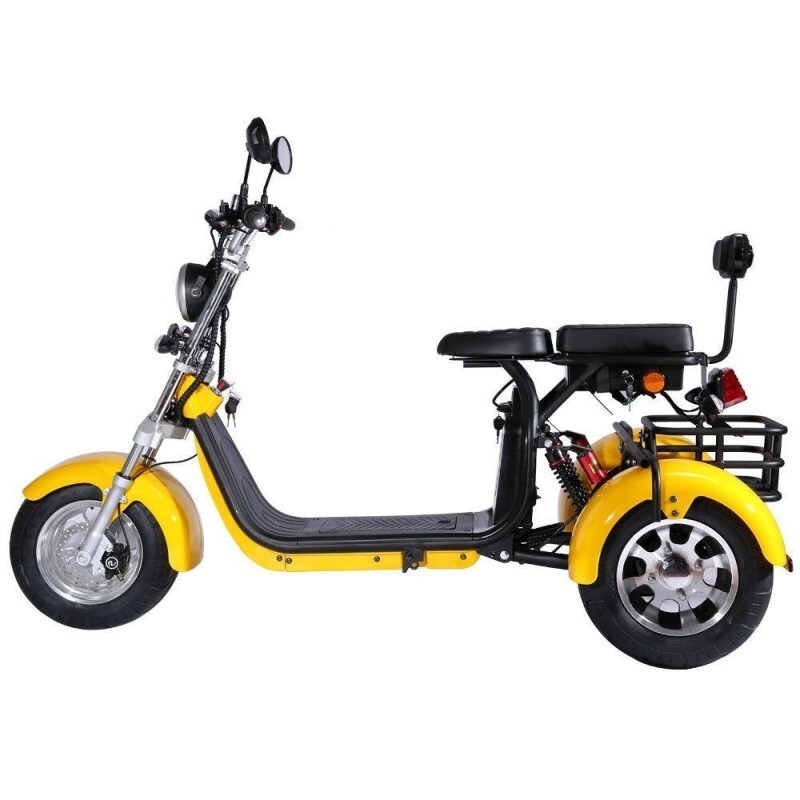 3 Wheels Adult Electric Scooter Electric Motorcycle With Passenger Seat(Sell off until sold out )