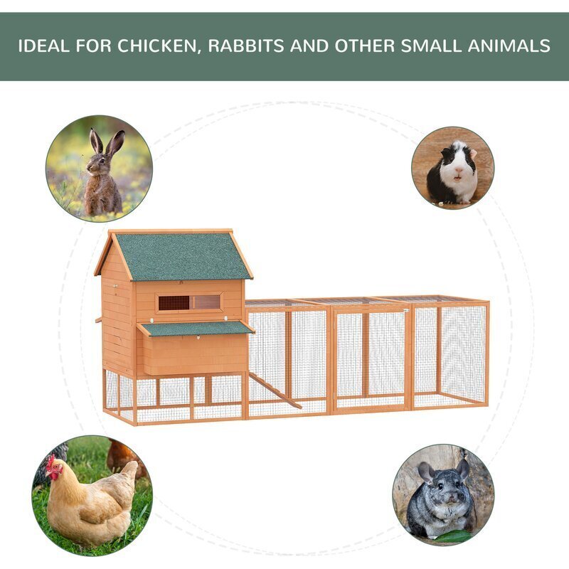 🐔The perfect gift for your pets