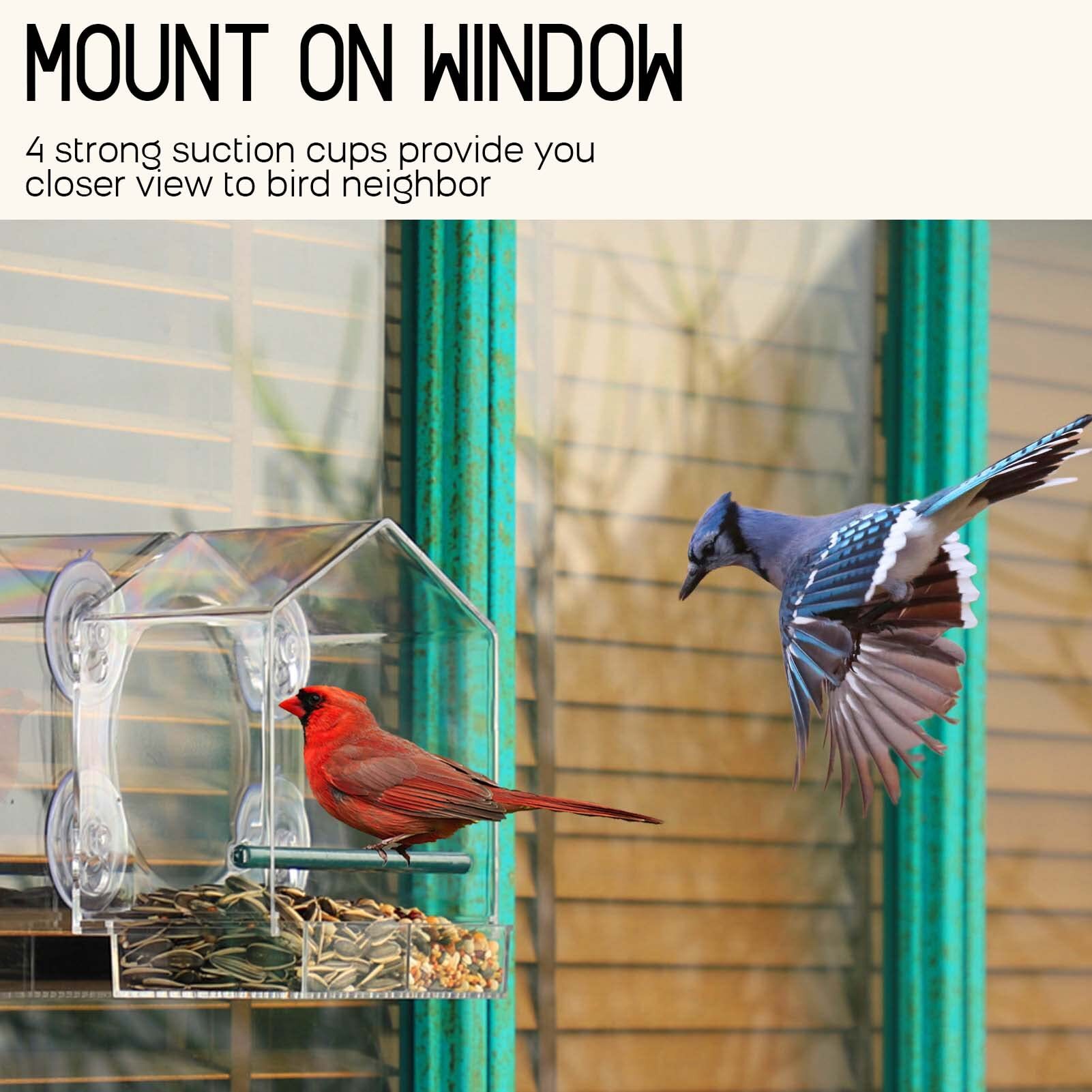 Window Bird Feeder for Outside